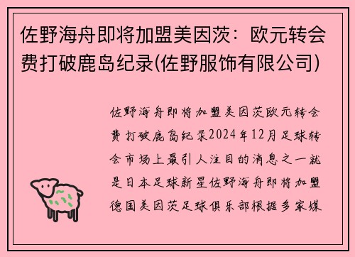 佐野海舟即将加盟美因茨：欧元转会费打破鹿岛纪录(佐野服饰有限公司)